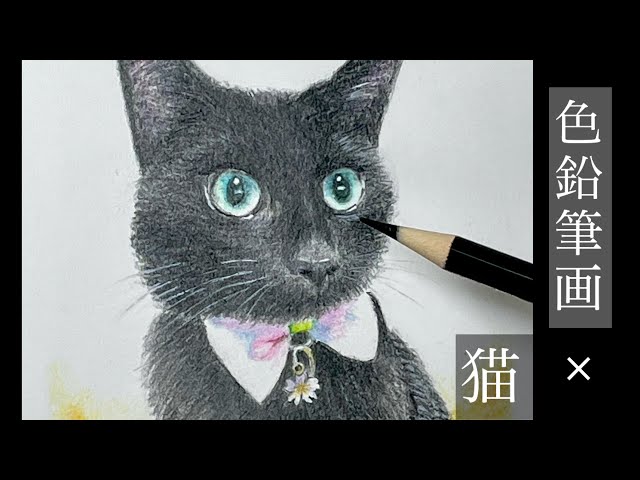 イラスト【色鉛筆画】リアルに挑戦！ 猫ちゃんを描いてみました
