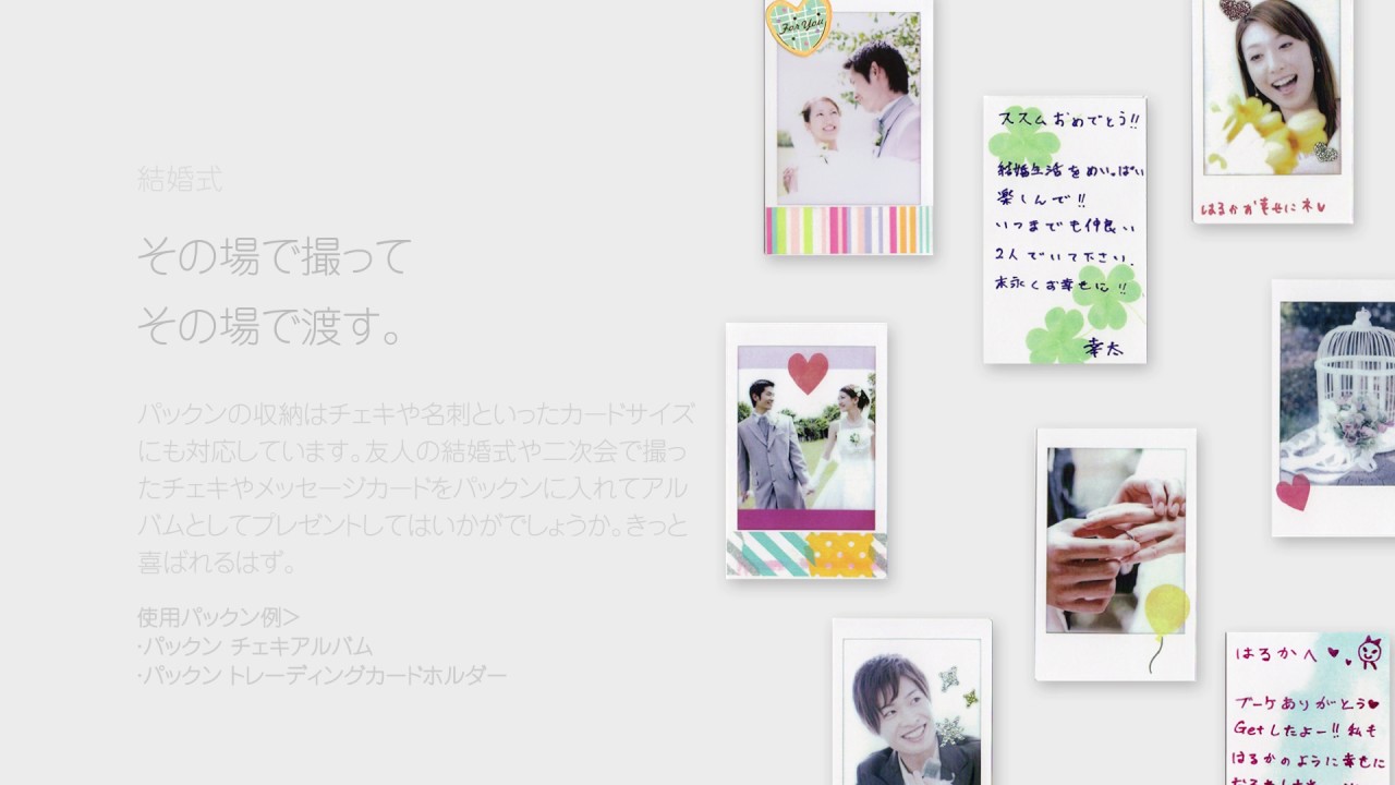 パックン ポストカードホルダー〈高透明〉 – セキセイ株式会社