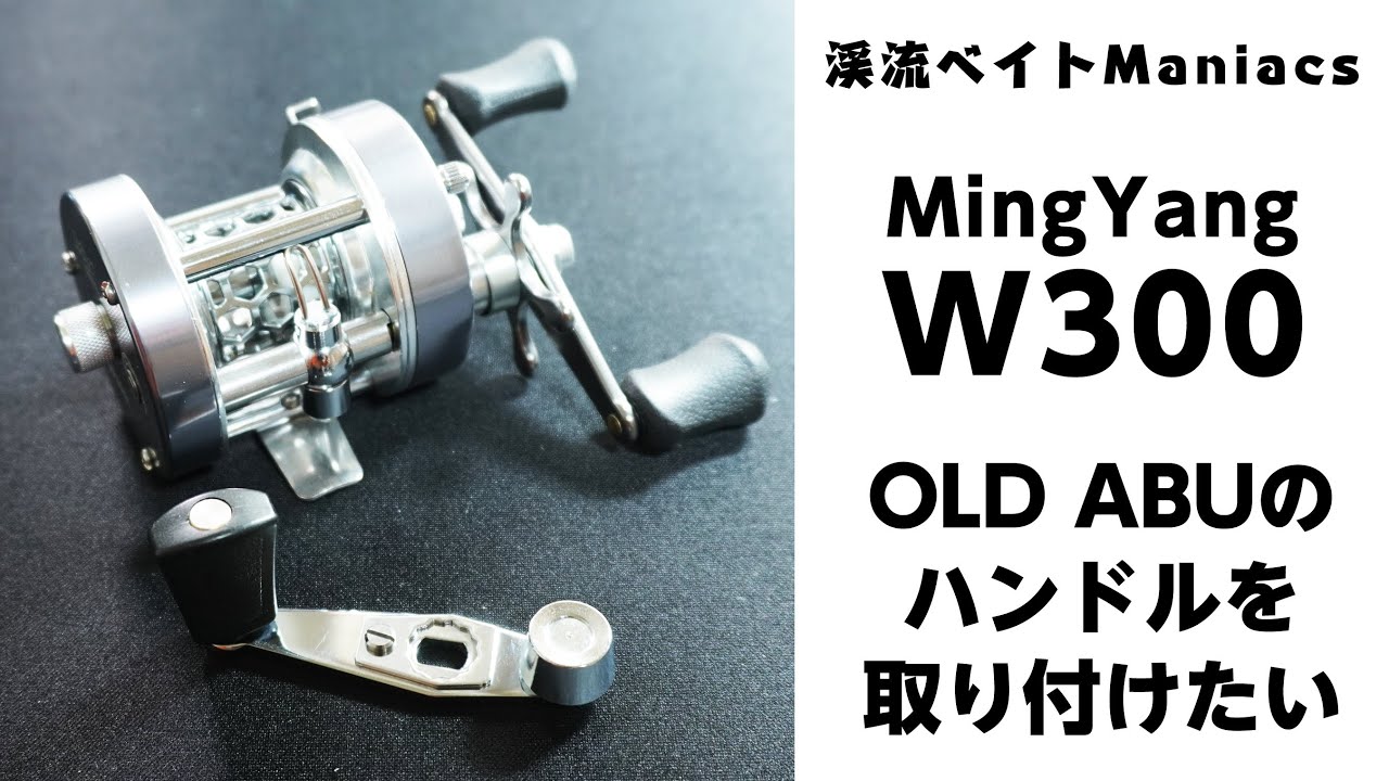 中華アンバサダーをめちゃくちゃカスタムした【Ming Yang W300