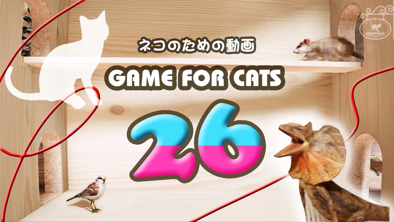 GAME FOR CATS 26 [Cat Video MIX26] Mouse, Lizard, Bird, String 4