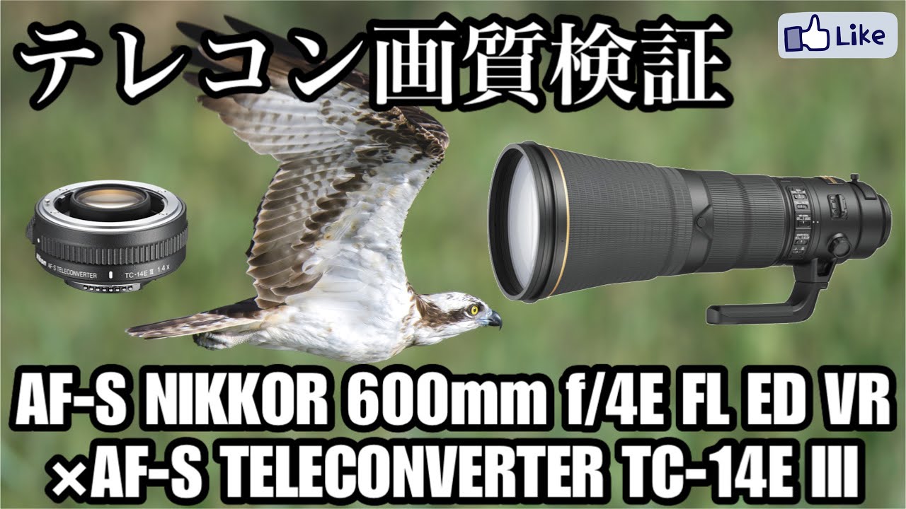 テレコン画質検証】野鳥撮影！600mm f/4E FL ED VR×TC-14E III - YouTube