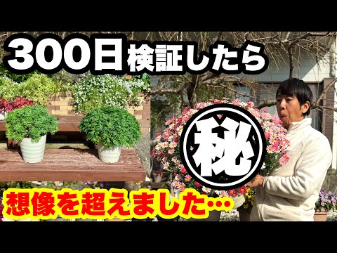 ゆるふわ園芸やっちゃんねる - YouTube