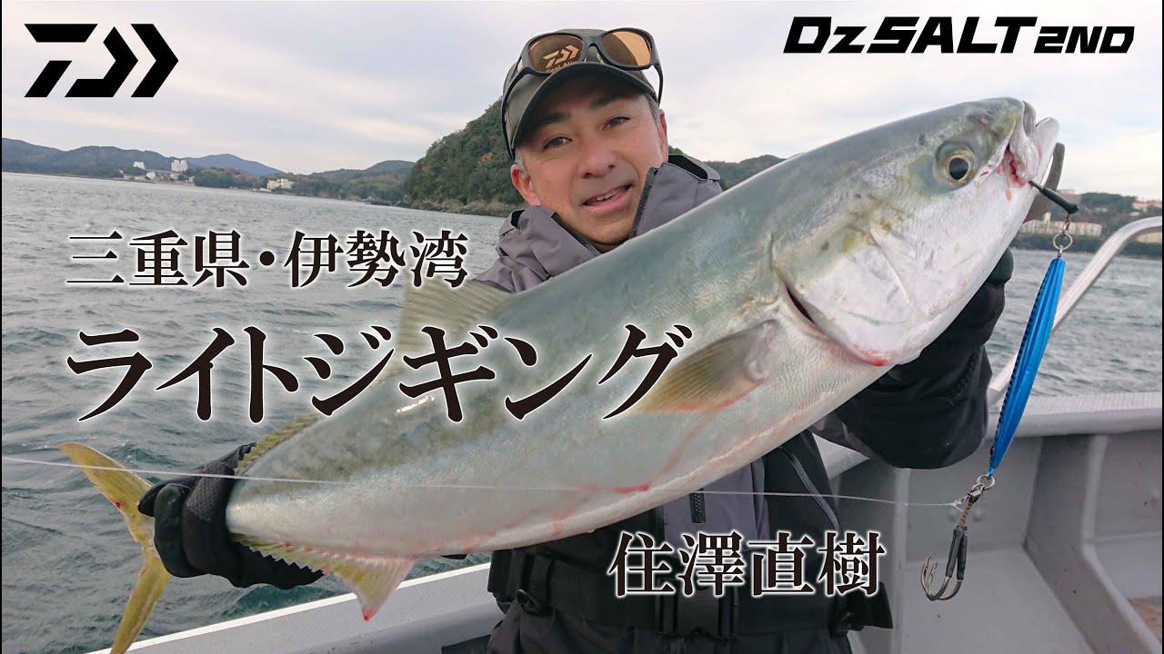 ﾀﾞｲﾜ ｿﾙﾃｨｶﾞ R J62S-3 LO (ｽﾋﾟﾆﾝｸﾞ 1ﾋﾟｰｽ)【大型商品】(J62S-3 LO): 竿