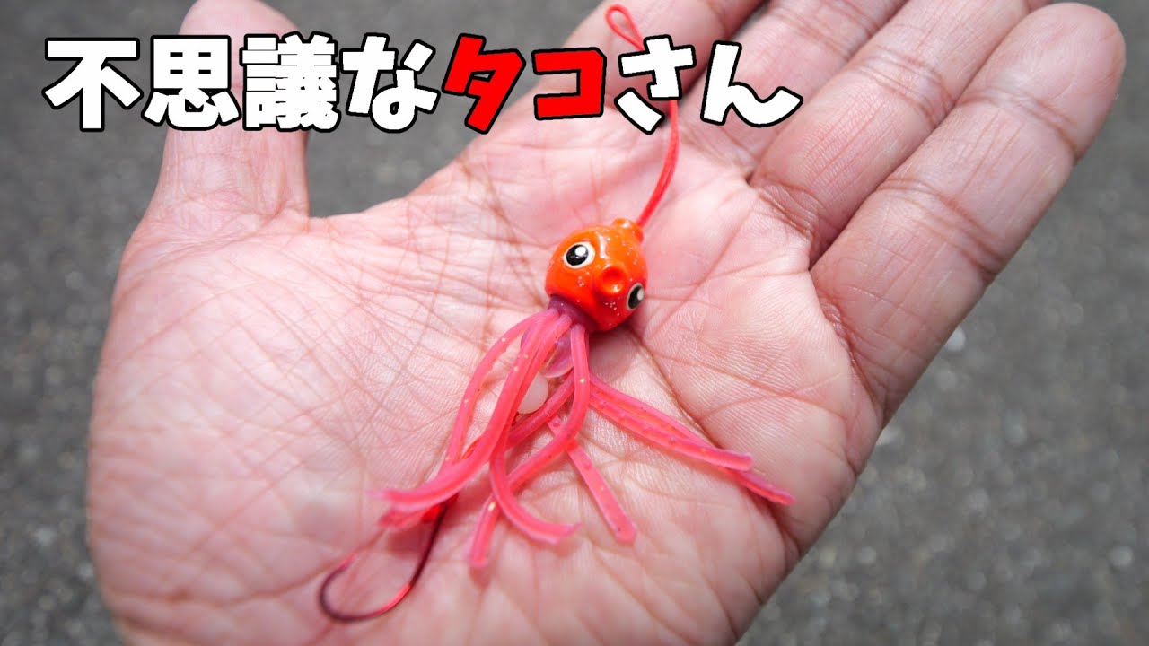 不思議なタコさん【3号・5号】 – lumica shop