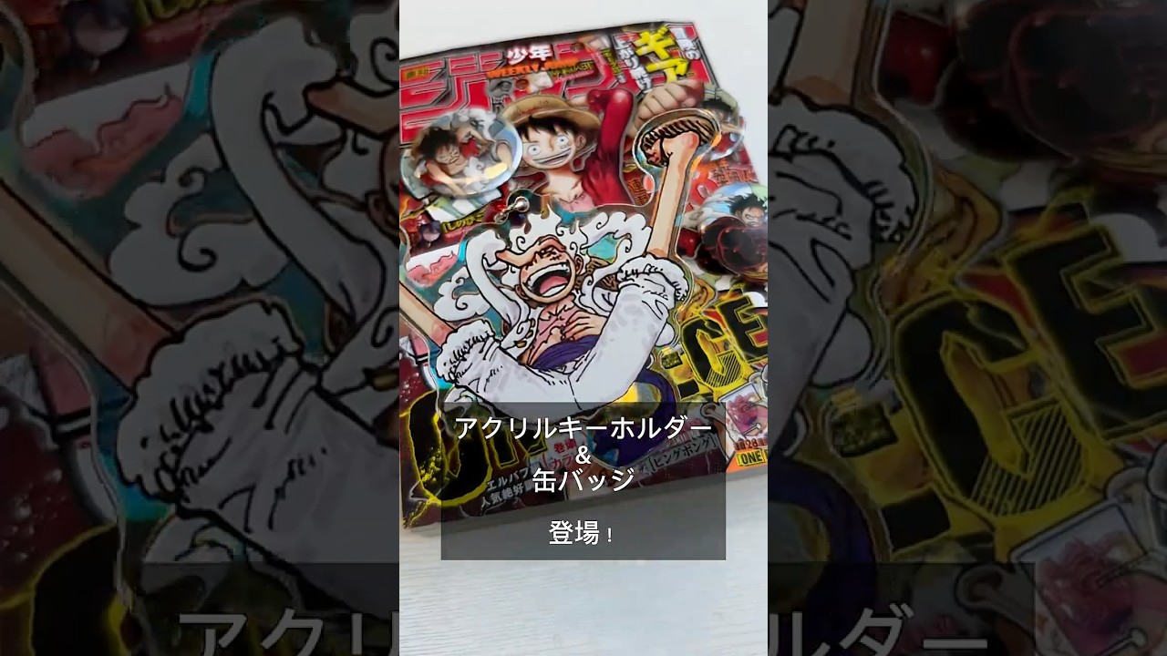 ONE PIECE オーロラアクキー&メタリック缶バッジ 5種セット ワンピース