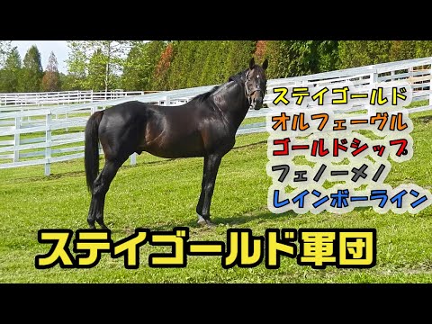 ゴールドシップまとめ - YouTube