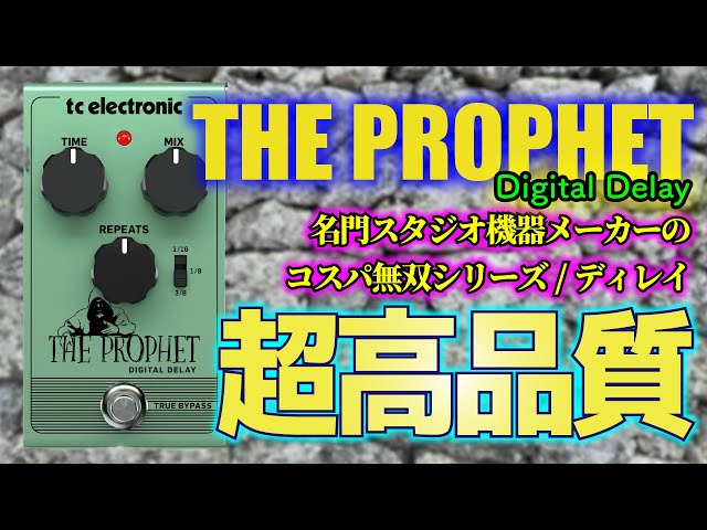 tc electronic】The PROPHET Digital Delay 名門メーカーが作るコスパ