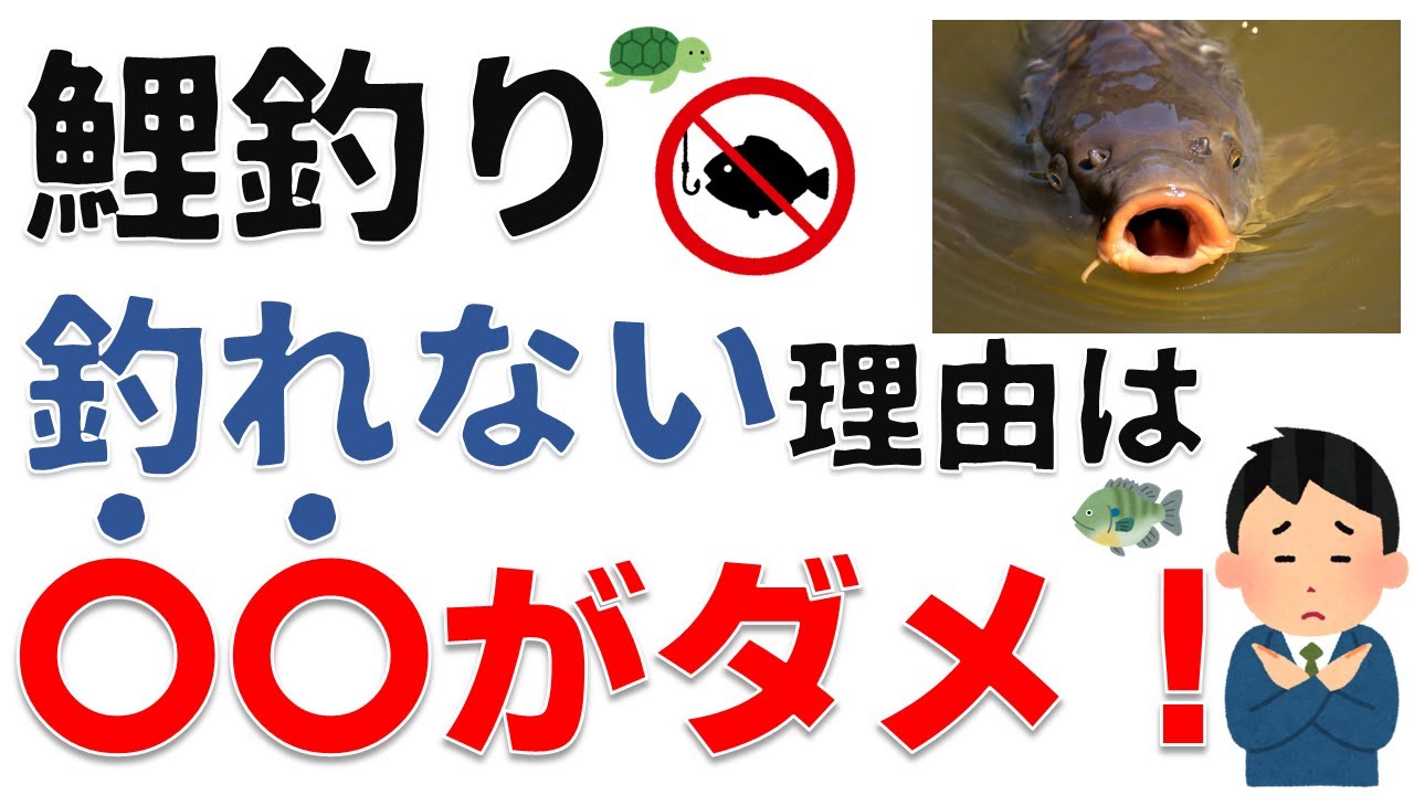 5分で理解！日本一実践的で分かりやすい鯉釣り解説①初心者が釣れない