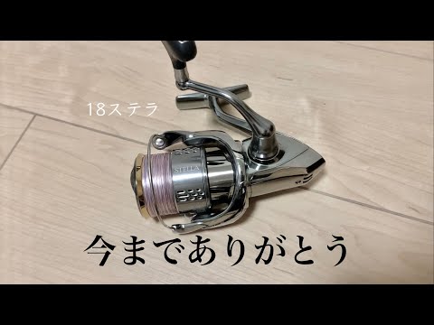 Finally 22 Stella is here!! - YouTube