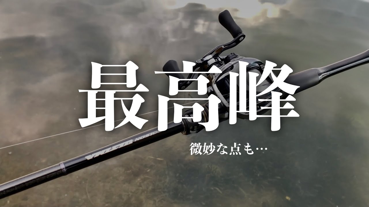 結局、バスロッド最高峰って凄いのよ・・【ポイズンアルティマ】172H