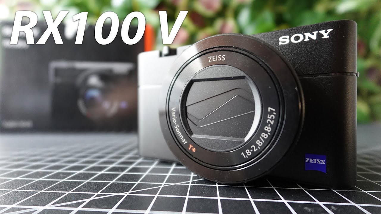 Sony DSC-RX100 V test video with zoom footage and sample images