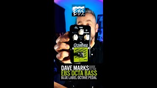 Octabass - EBS Professional Bass Equipment