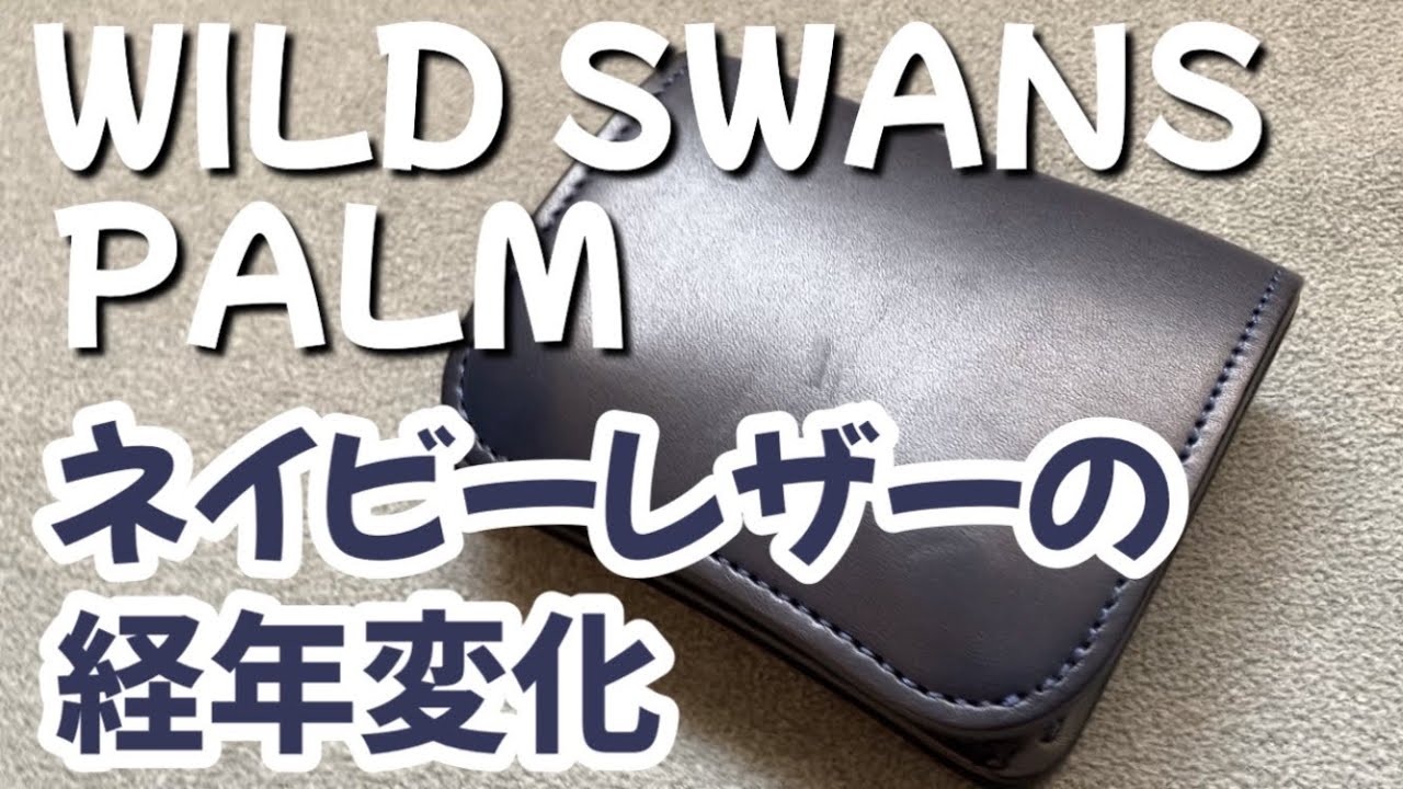 Aging Report] 2nd Generation Wildswans Palm (Navy) 6-Month Growth