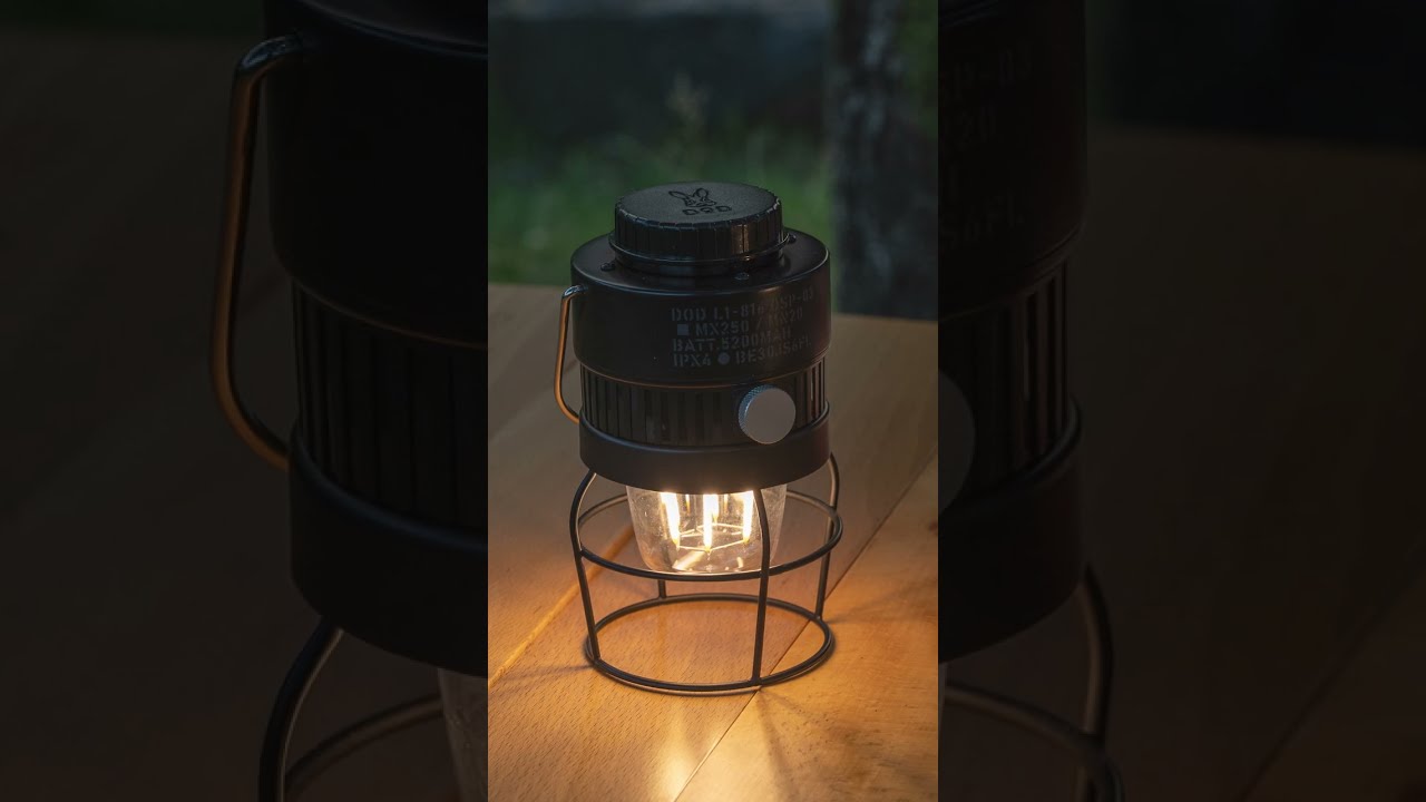 DODランタン紹介】ミスタードングリ オシリピッカリーノ3世 #Shorts