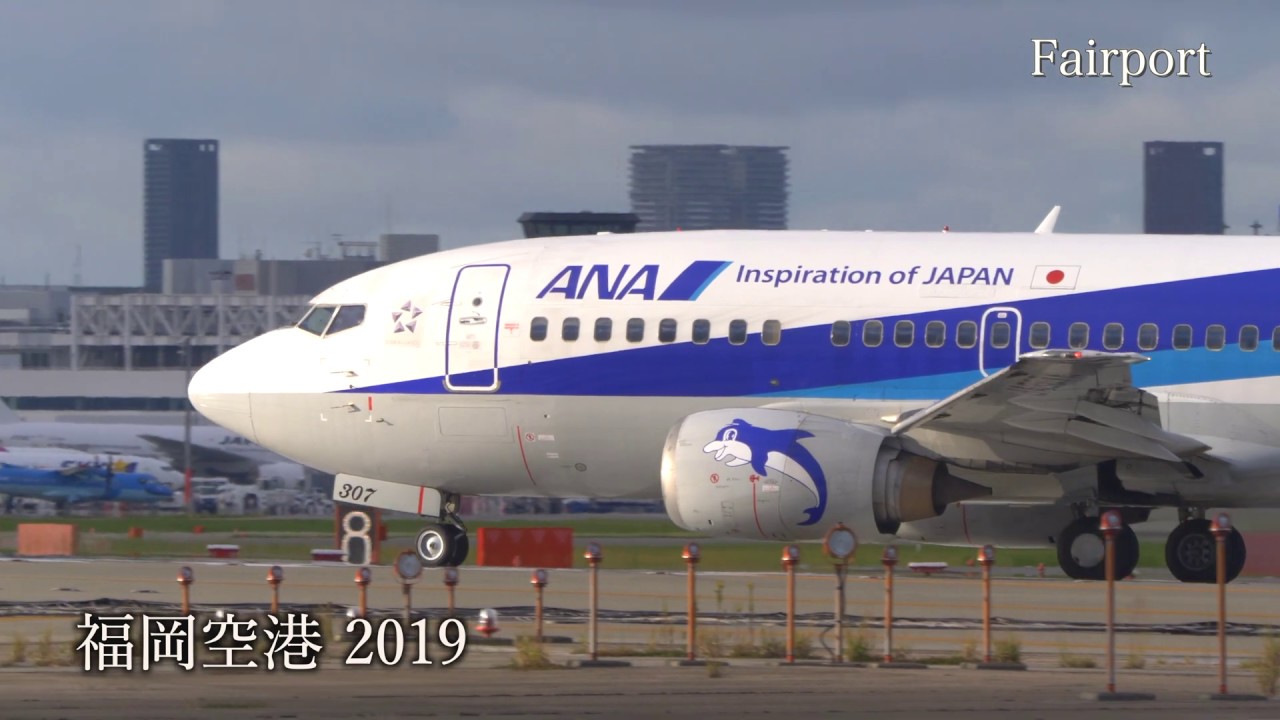 4k] [飛行機] ANA B737-500「スーパードルフィン」 - YouTube