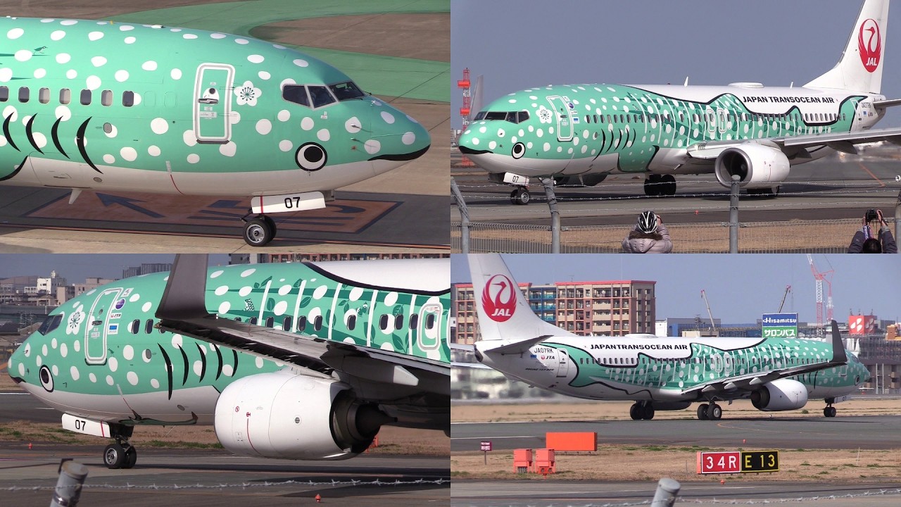 26/02/23 福岡空港 日本トランスオーシャン航空 JTA Boeing 737-800