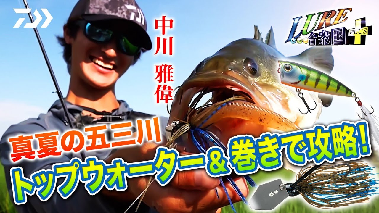 ダイワ ブレイゾン C610M 2021モデル (ベイト1ピース)【大型商品