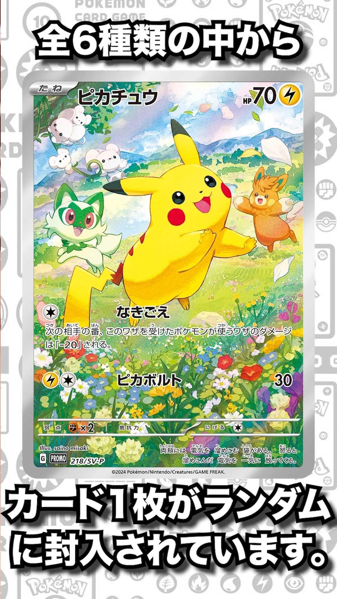 ポケカの夏がキタ！フルイラストのピカチュウがプロモカードパックに