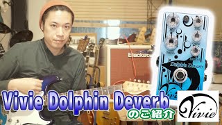 ギターレッスン【Vivie Dolphin Deverbのご紹介】 - YouTube