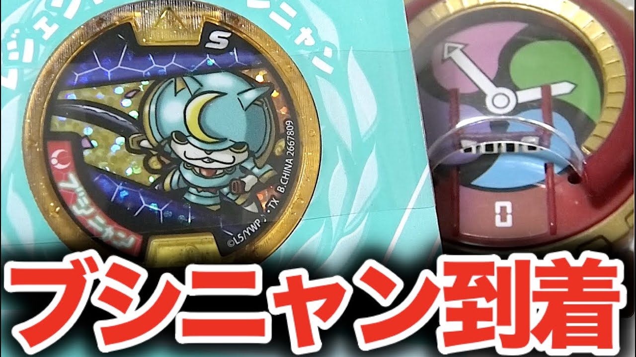 Prize] Bushinyan (Legend Medal) has arrived! Open it and SHOWKAN