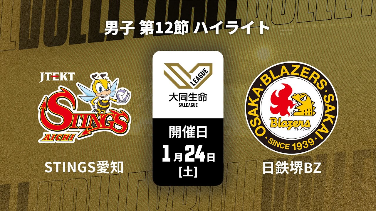 日本製鉄堺ブレイザーズ | チーム紹介 | 大同生命SVリーグ男子 2025-26