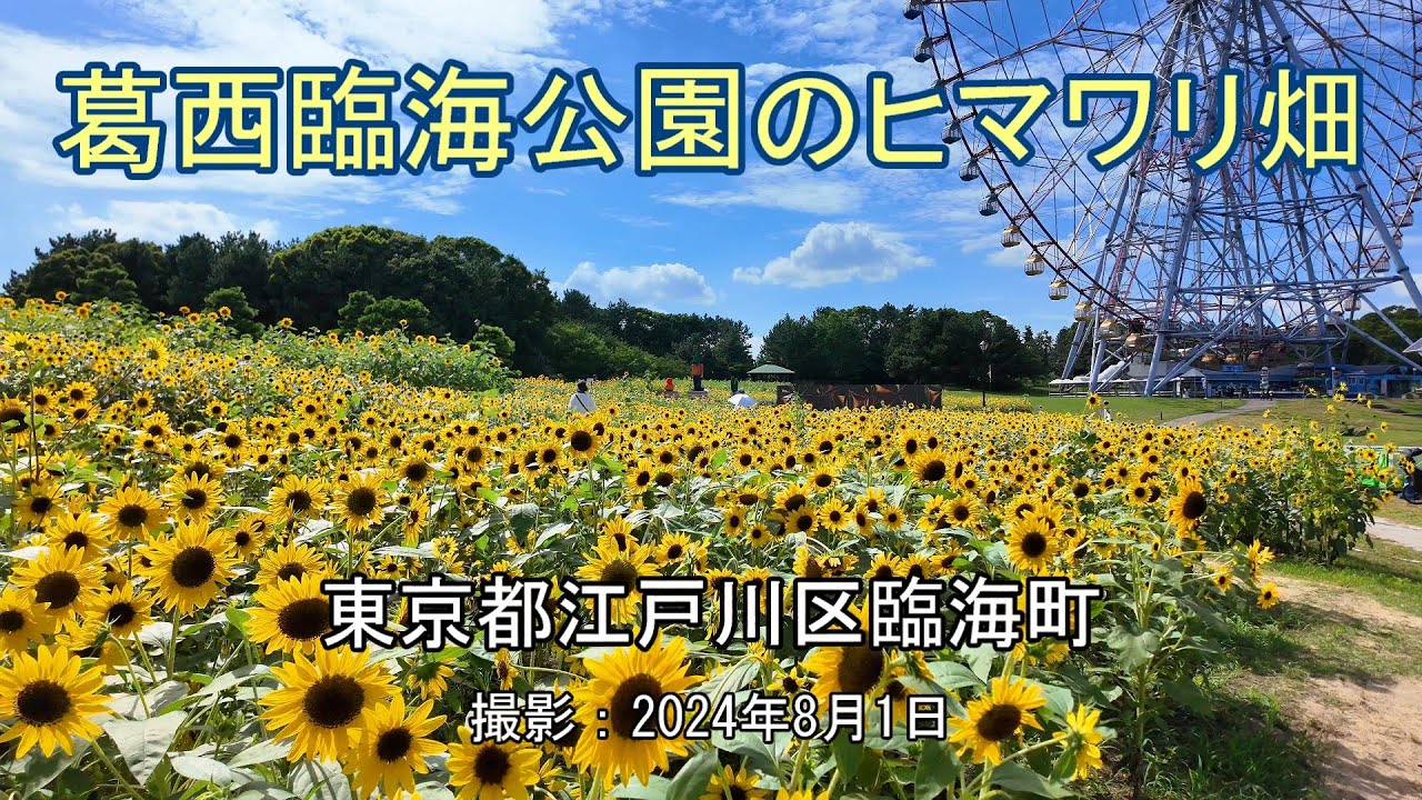 プロフィール - はるかのひまわり絆プロジェクト