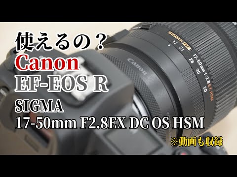 シグマ 17-50mm F2.8EX DC OS HSM キヤノン用 | 交換レンズ