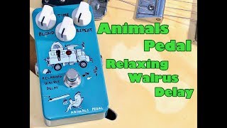 Animals Pedal / Relaxing Walrus Delay 【弾きながらレビュー