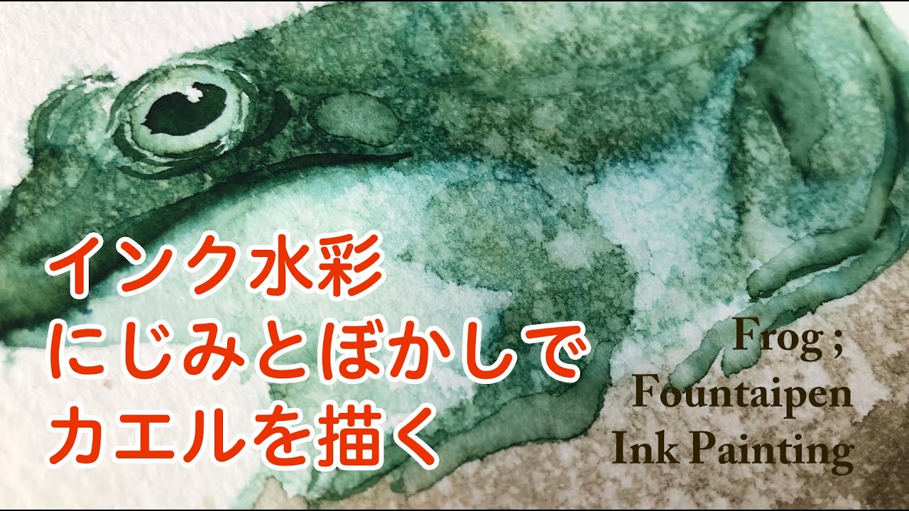 インク水彩】ぼかしとにじみでカエルを描く。Frog : Watercolor