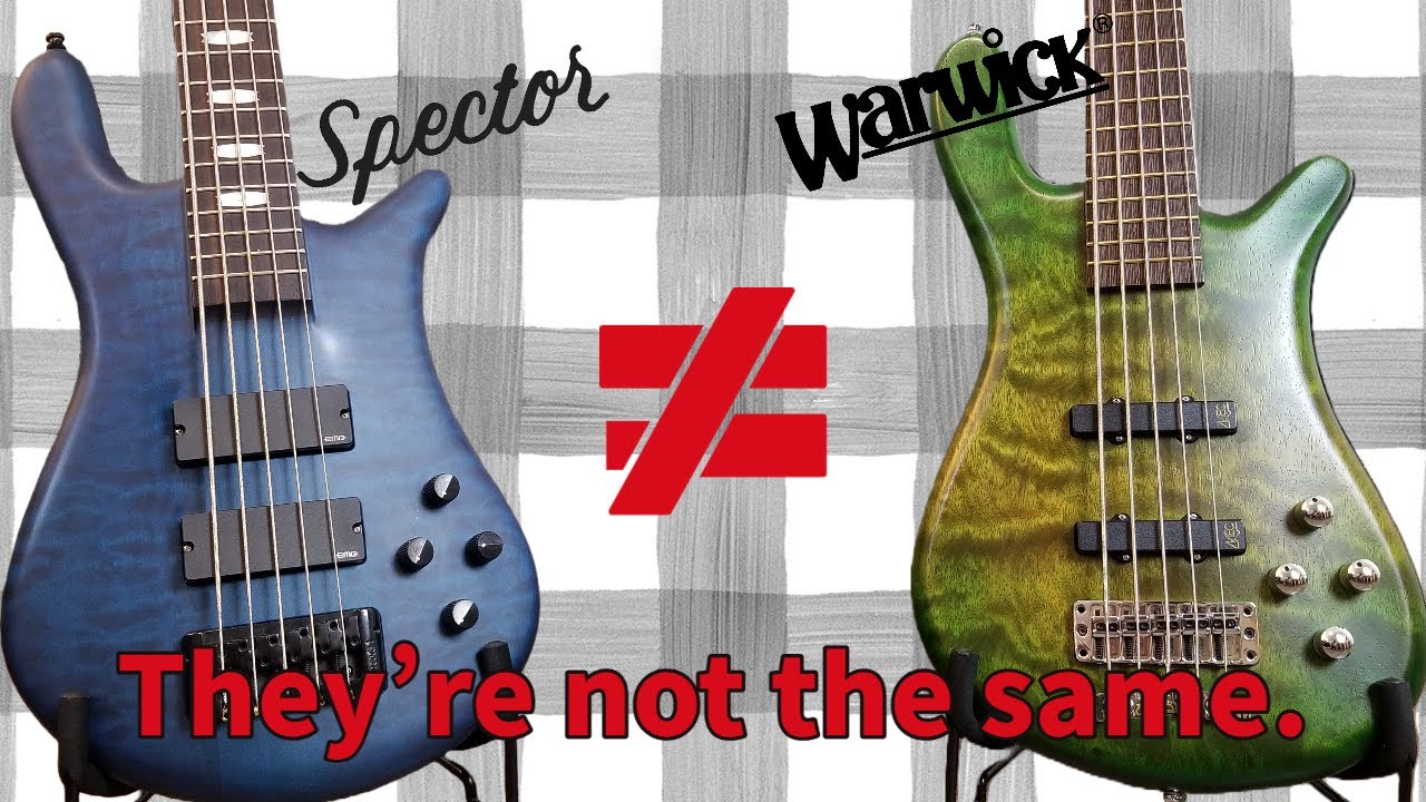 Warwick Streamer LX vs. Spector Euro LX Comparison - YouTube