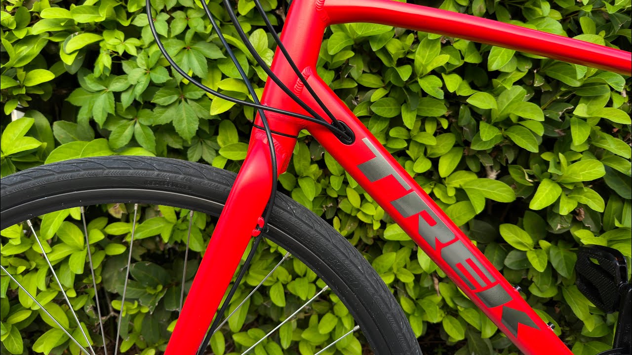 Trek FX2 2023 6 Month Review - YouTube