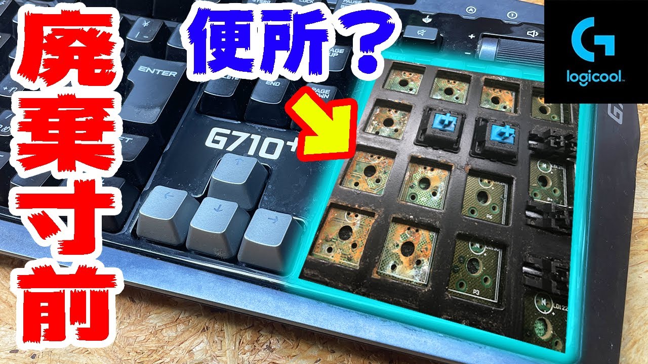 Tragic] The fate of a gaming keyboard that was left abandoned