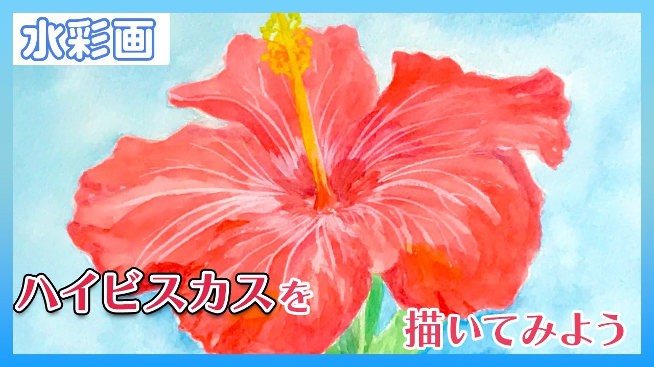 初心者向け！南国の花🌺】ハイビスカスを描いてみた【水彩画】 - YouTube