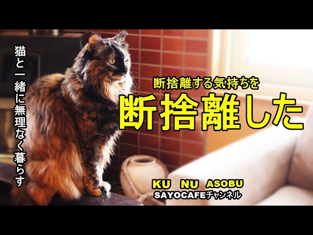 vol.82【60代の暮らし】断捨離する気持ちを断捨離しました（笑）#60代