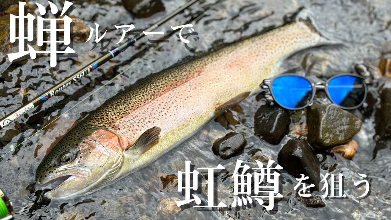 TULALA Routes S56UL】夏のレインボートラウトを蝉パターンで狙う
