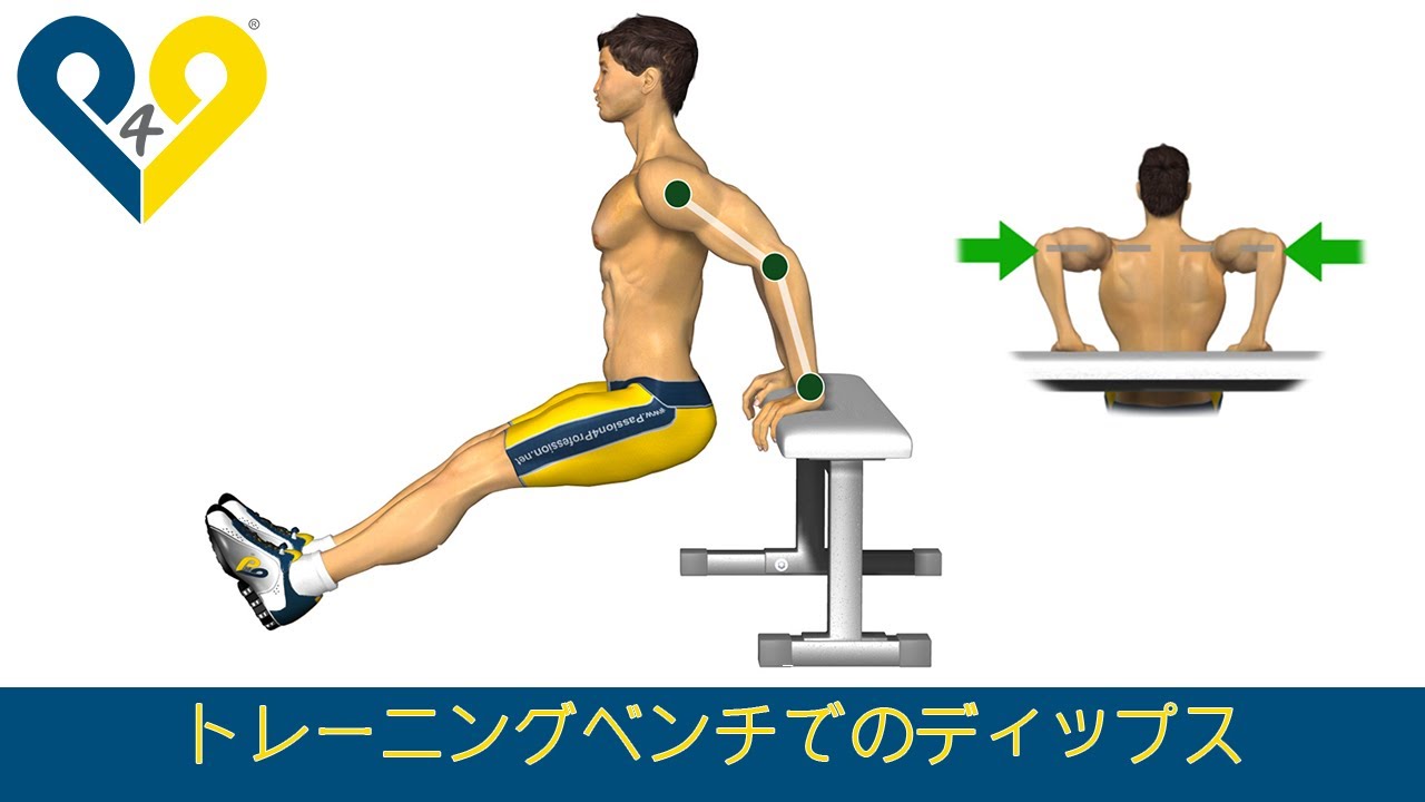 トレーニングベンチでのディップス - YouTube