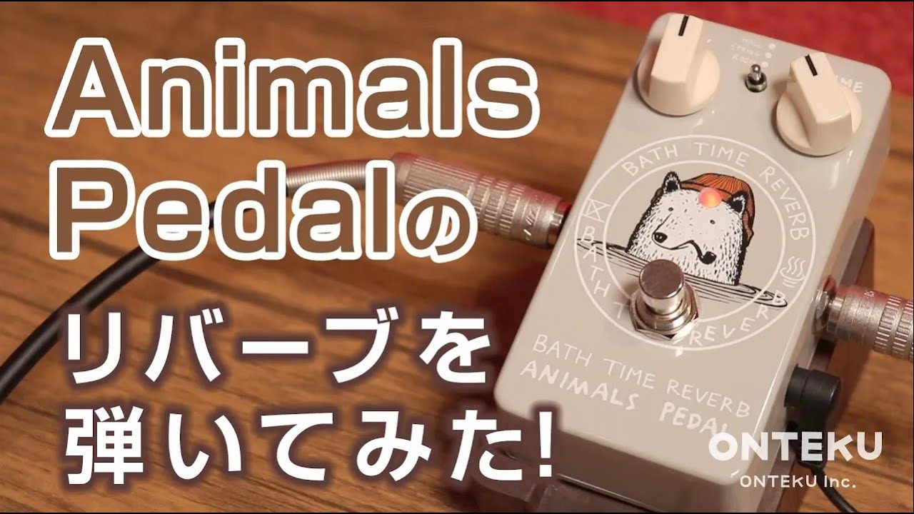 おんがく動画】Animals Pedal Bath Time Reverb を弾いてみた！【試奏