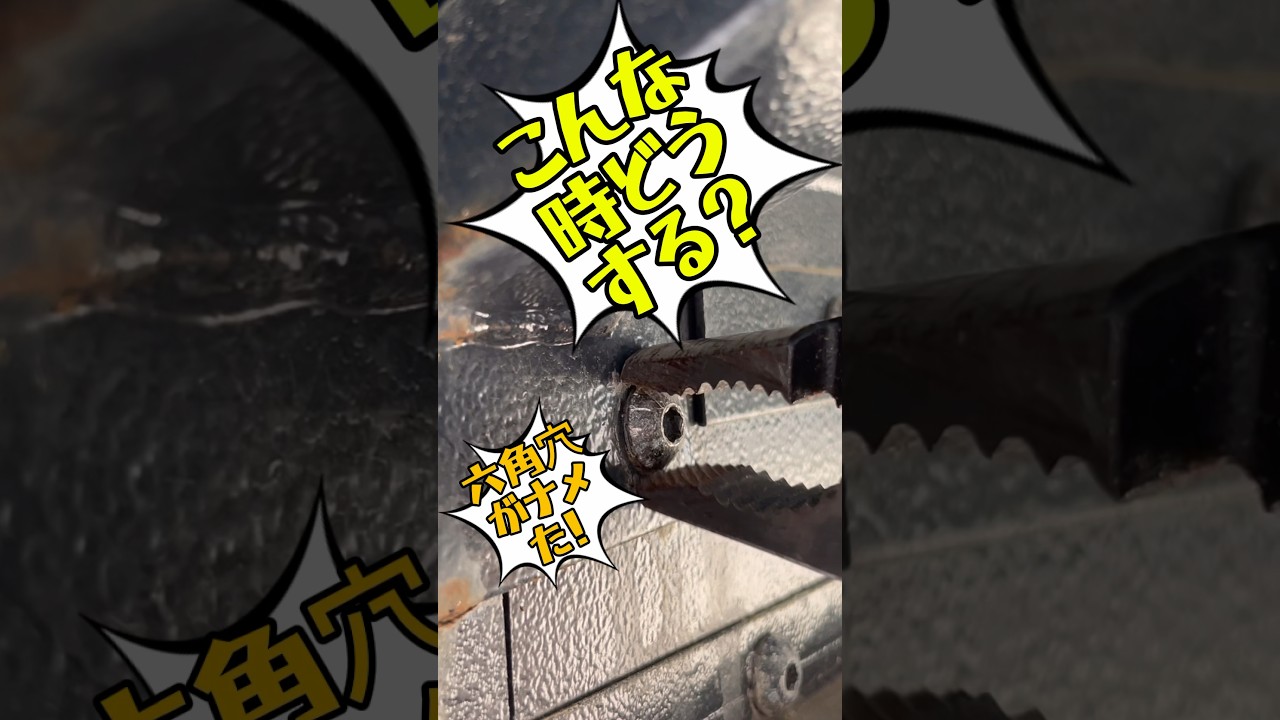 クニペックス スリップジョイントプライヤーツイングリップ 8201-200SB