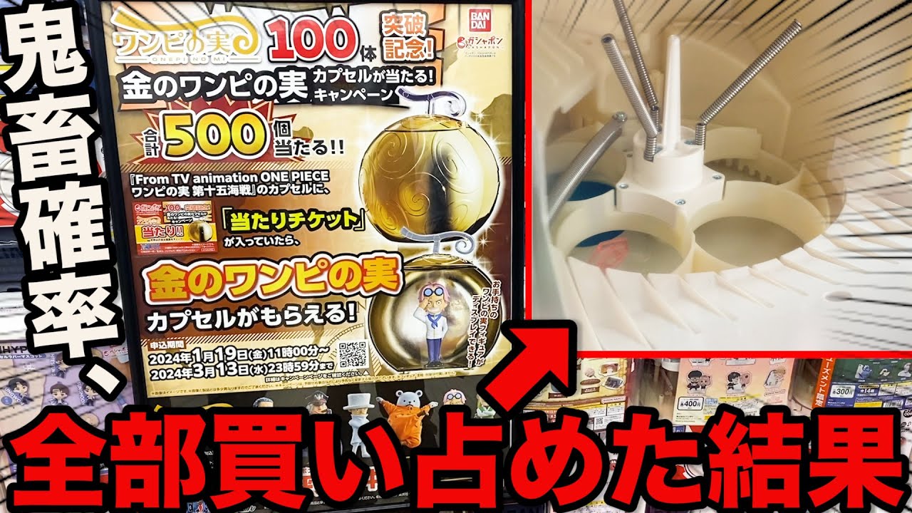 500個限定】超激レア『黄金のワンピの実』を狙え！ガチャの中全部