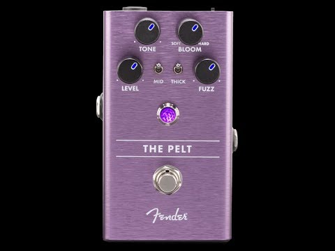 Fender The Pelt Fuzz Pedal Review - YouTube