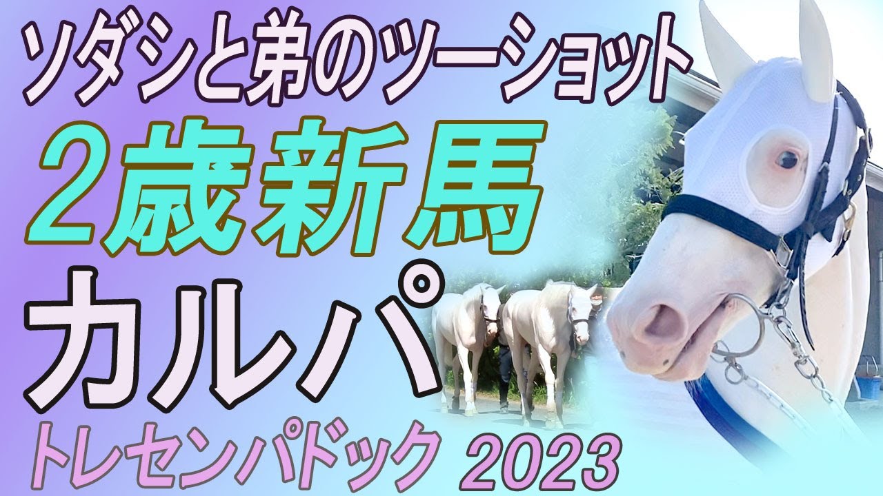 未開封】ブチコ フィギュア付ポーチ ソダシの母 競馬 ウマ娘