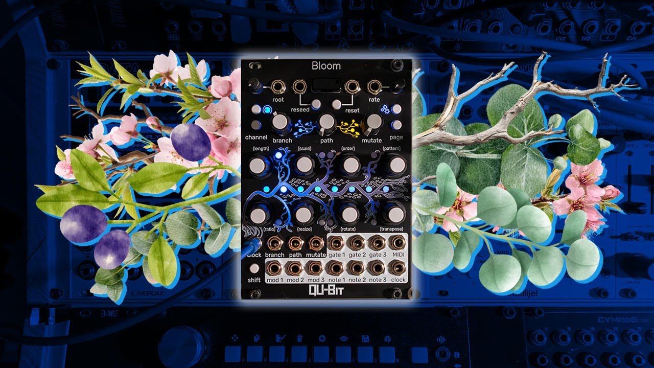 This is Qu-Bit Bloom V2: Triple Fractal Sequencer - YouTube