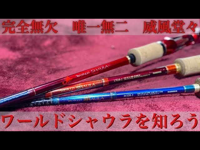 ワールドシャウラを知ろう【Part1】10年越しのレビューも踏まえて語り