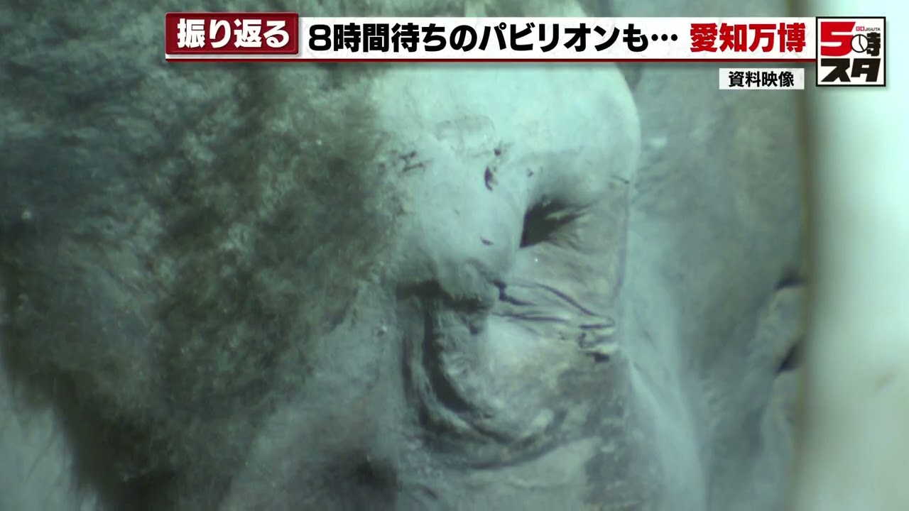 Looking back on the Aichi Expo] Frozen mammoths and booths where