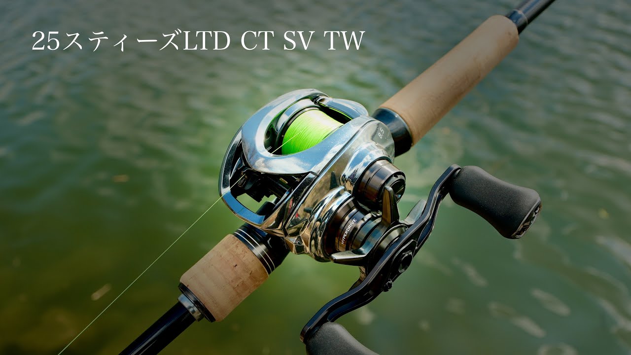 25スティーズ リミテッド CT SV TW 徹底インプレ