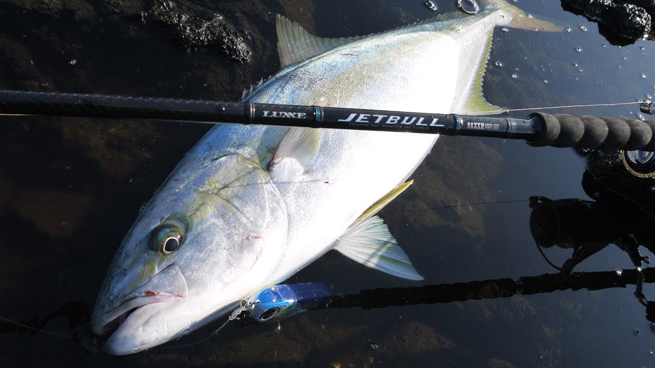 PLAT/gamakatsu luxxe jetbull 98xxh-Fishing Tackle Store-en