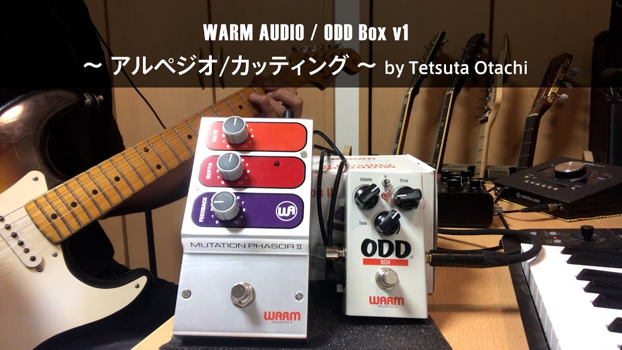 製品レビュー】WARM AUDIO/ODD Box v1 ～アルペジオ/カッティング～ by