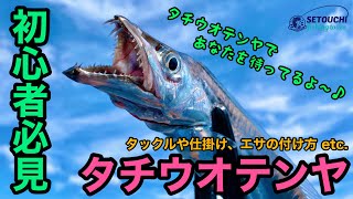 必見！】🔰はじめてのタチウオテンヤ🔰の方向けに色々と説明します