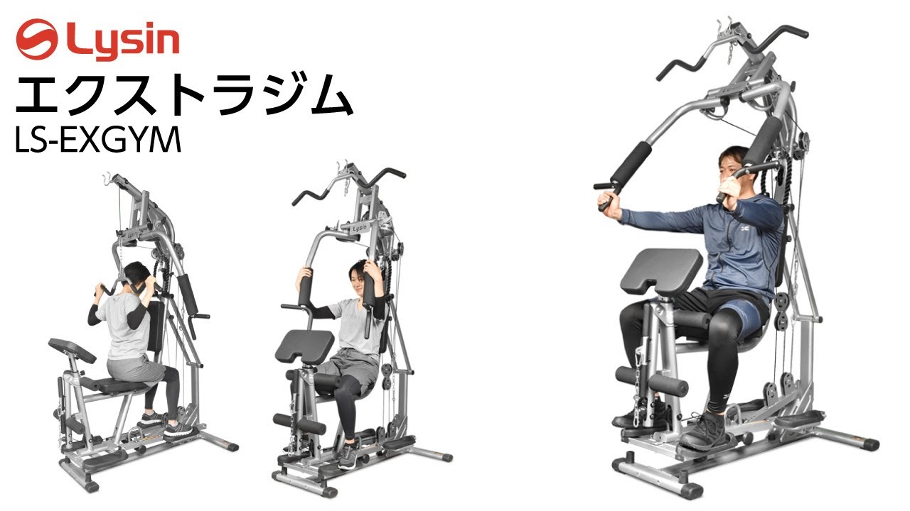 ライシン ホームジム 1台多役 静音設計 自重 総合 筋トレ マシン