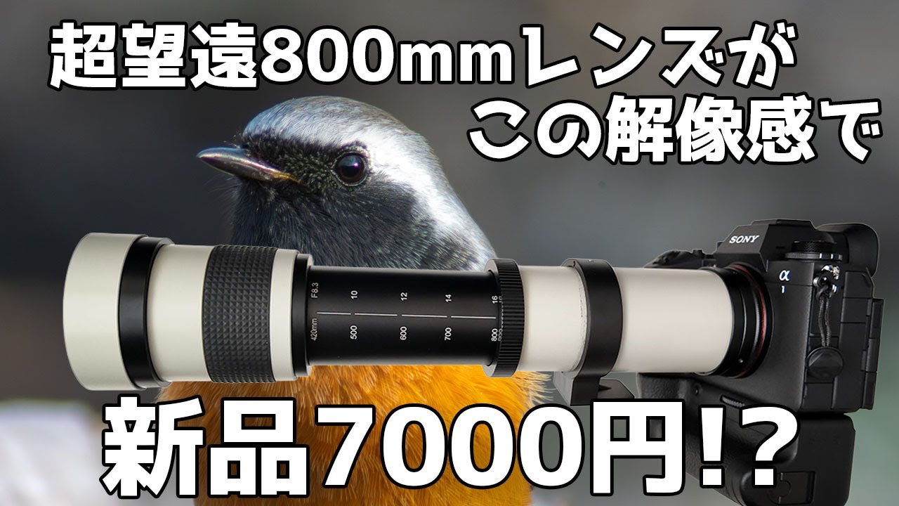 Unboxing Review] Lightdow 420-800mm F8.3-F16 Super Telephoto Lens